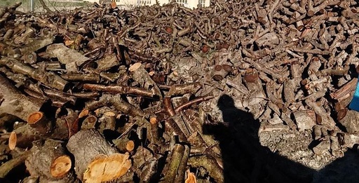 500 kg Leña de melocotonero